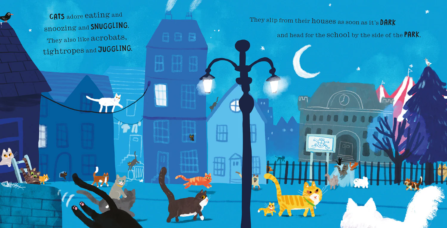 Cats in Chaos