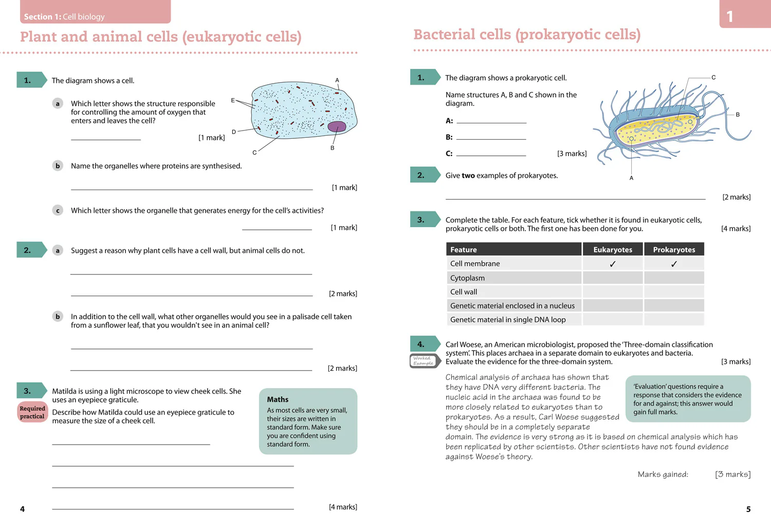 287-gcse-science-9-1-aqa-gcse-9-1-biology-achieve-grade-8-9-workbook-4.webp GCSE Science (9–1) - AQA GCSE (9–1) Biology Achieve Grade 8–9 Workbook