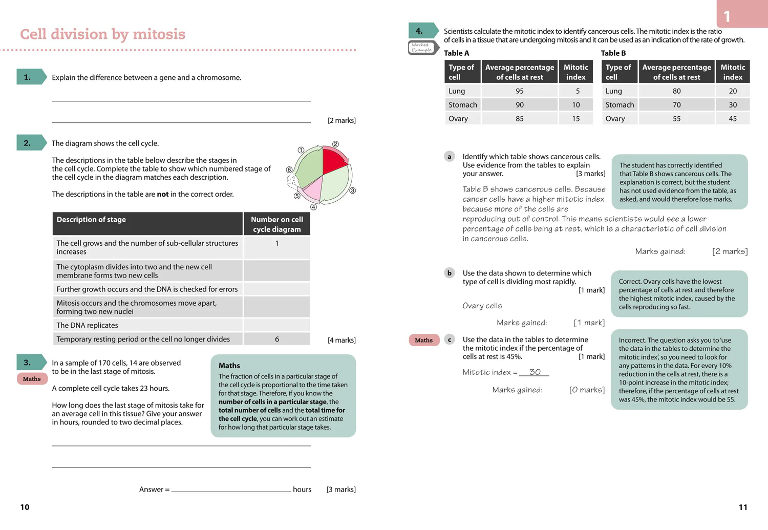 287-gcse-science-9-1-aqa-gcse-9-1-biology-achieve-grade-8-9-workbook-5.webp GCSE Science (9–1) - AQA GCSE (9–1) Biology Achieve Grade 8–9 Workbook