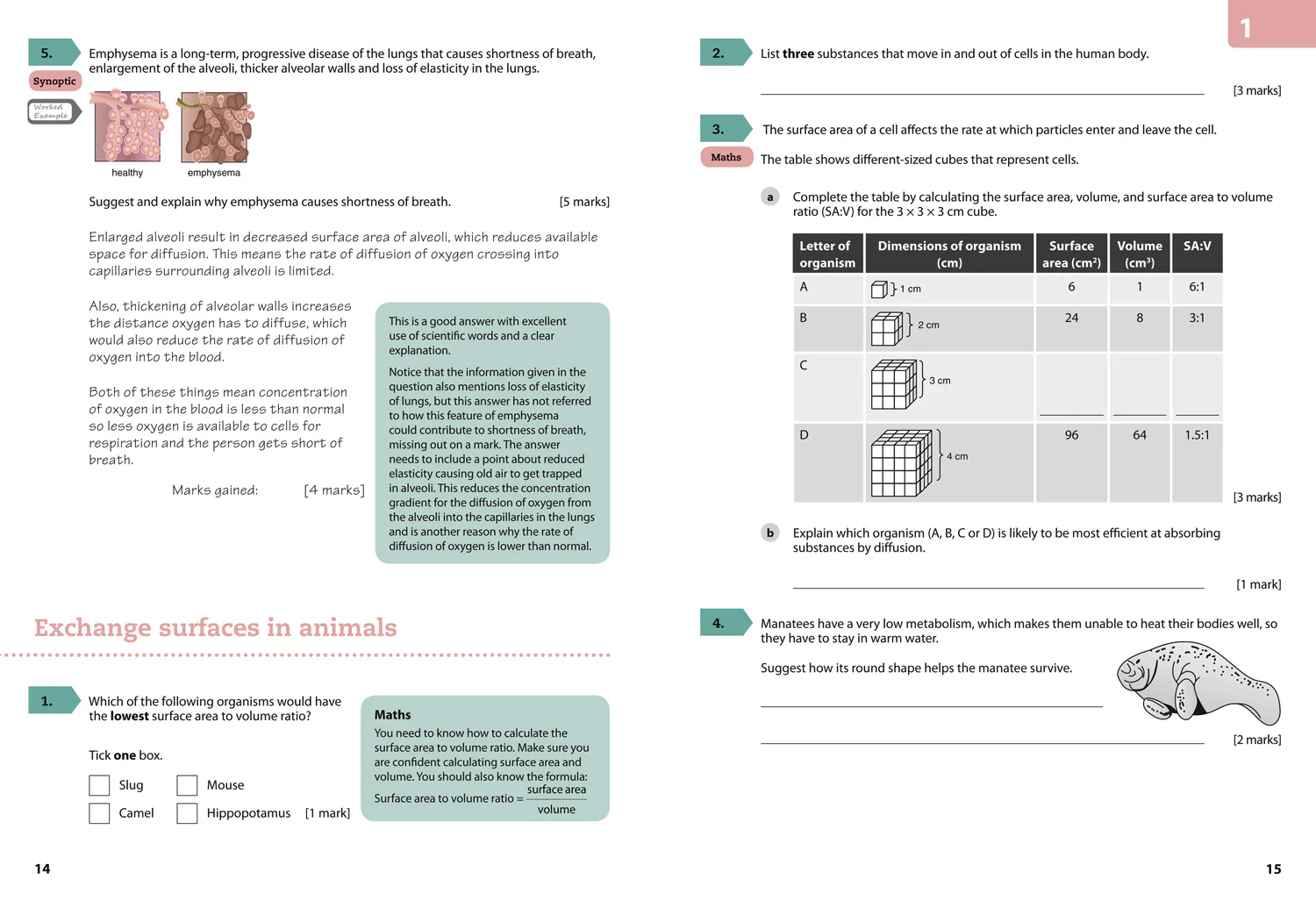 287-gcse-science-9-1-aqa-gcse-9-1-biology-achieve-grade-8-9-workbook-6.webp GCSE Science (9–1) - AQA GCSE (9–1) Biology Achieve Grade 8–9 Workbook