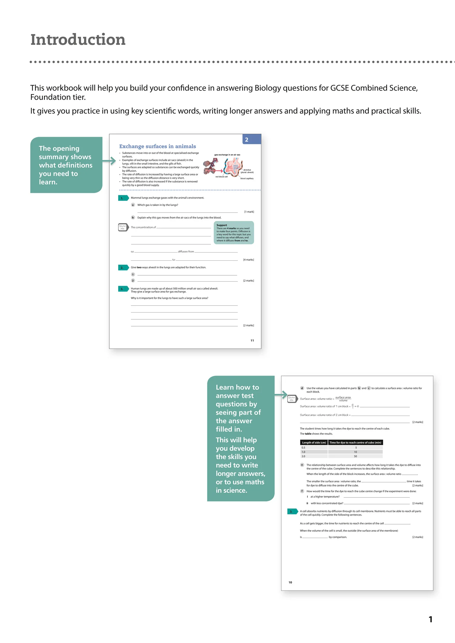 GCSE Science 9-1 - AQA GCSE 9-1 Biology for Combined Science Grade 1−3 Workbook