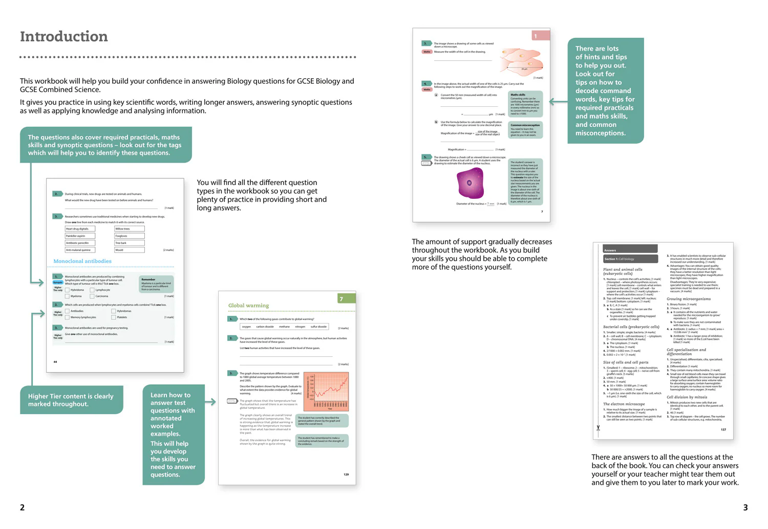 295-gcse-science-9-1-aqa-gcse-biology-9-1-grade-5-booster-workbook-3.webp GCSE Science 9-1 - AQA GCSE Biology 9-1 Grade 5 Booster Workbook