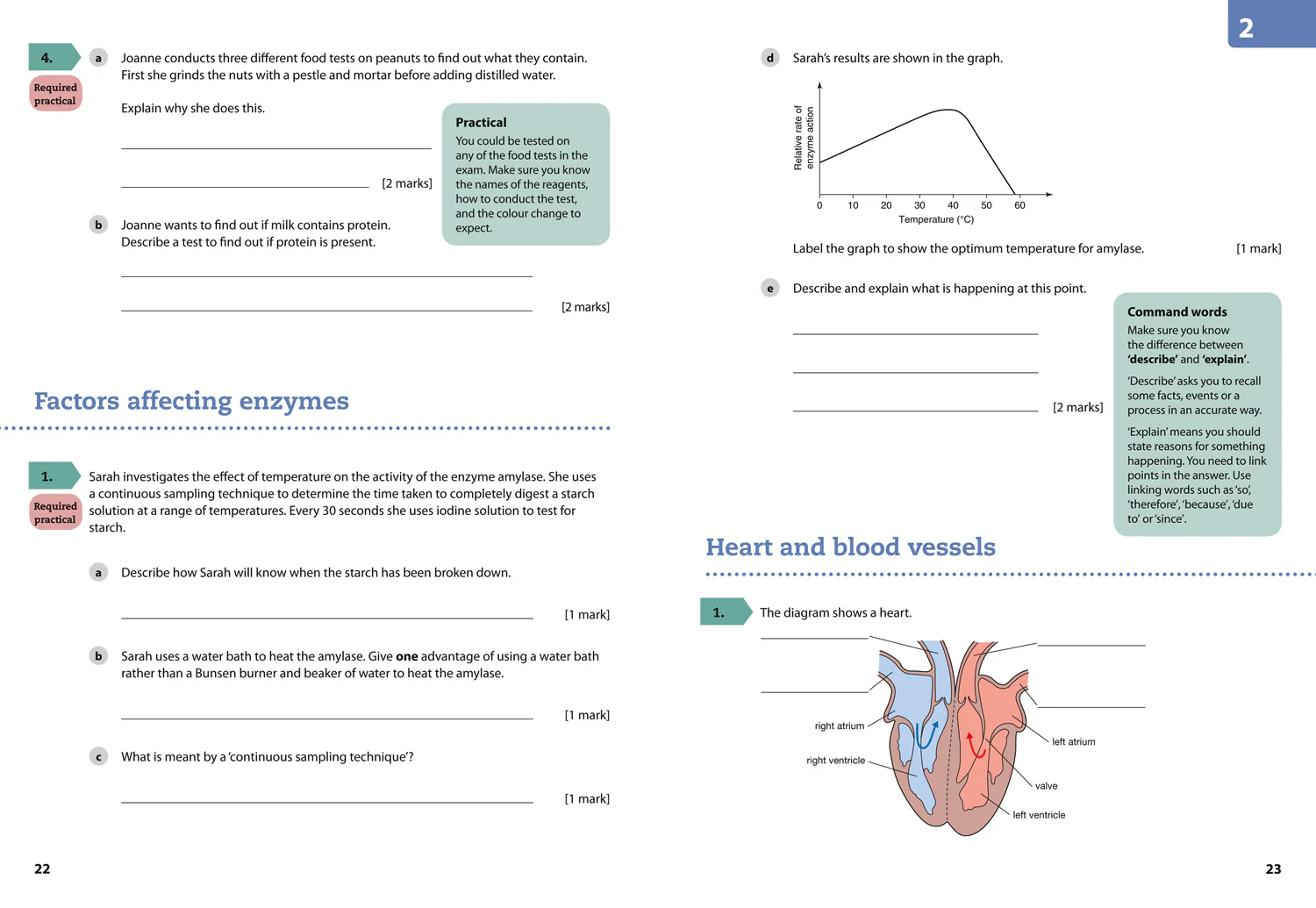 295-gcse-science-9-1-aqa-gcse-biology-9-1-grade-5-booster-workbook-5.webp GCSE Science 9-1 - AQA GCSE Biology 9-1 Grade 5 Booster Workbook
