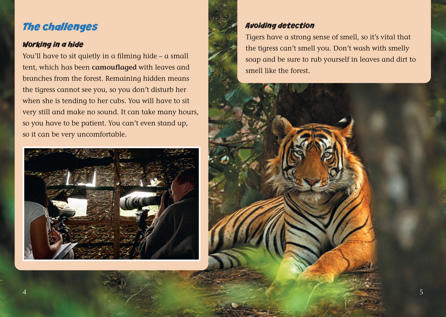 Collins Big Cat - Filming in the Wild: Band 11/Lime