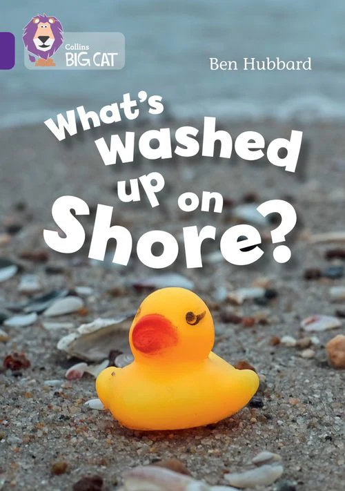 Collins Big Cat - What's washed up on shore?: Band 08/Purple