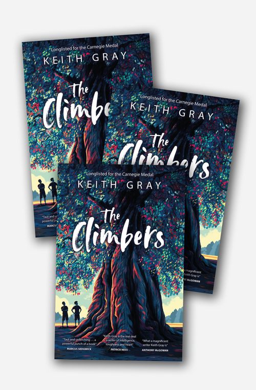 The Climbers 30 Copy Class Set
