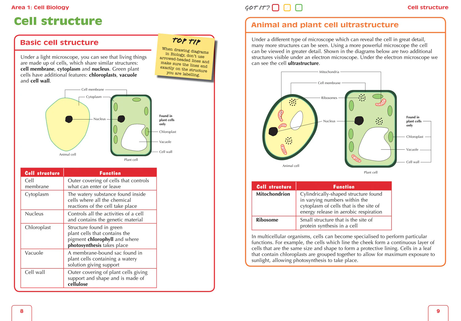 Leckie Complete Revision & Practice - National 5 Biology: Preparation and Support for SQA Exams