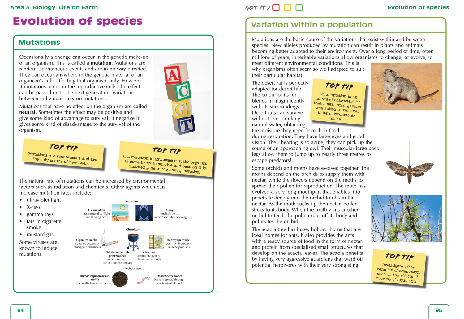 6-leckie-complete-revision-practice-national-5-biology-preparation-and-support-for-sqa-exams-3.webp Leckie Complete Revision & Practice - National 5 Biology: Preparation and Support for SQA Exams