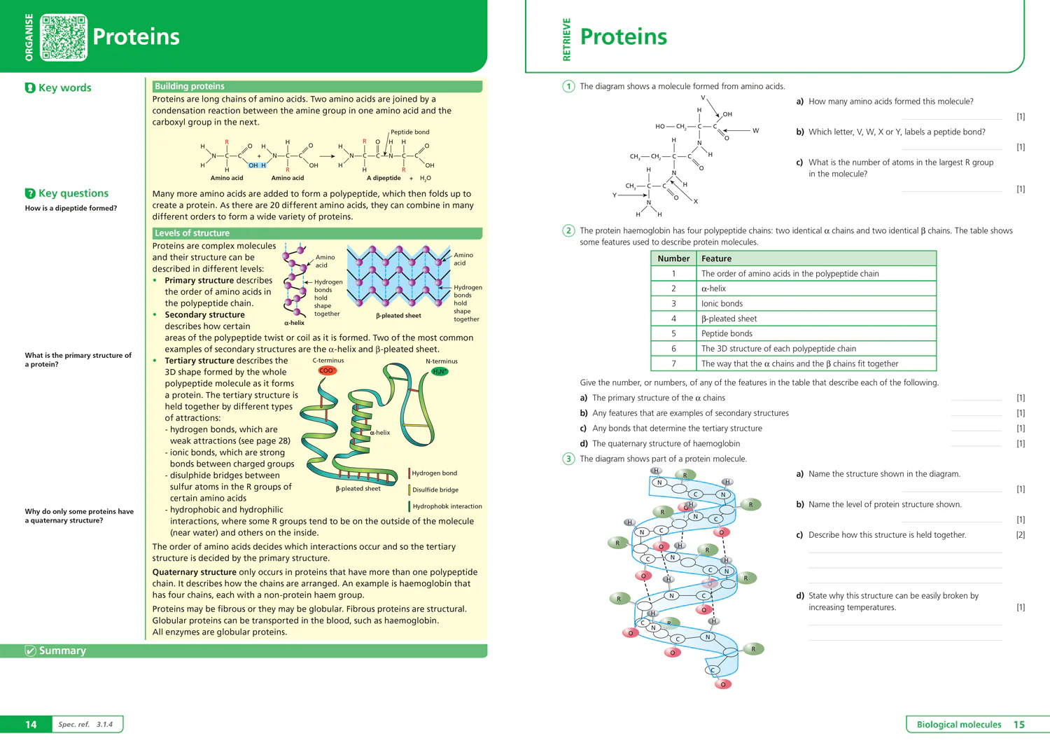 65-collins-a-level-revision-aqa-a-level-biology-organise-and-retrieve-your-knowledge-ideal-for-the-2026-and-2027-exams-3.webp Collins A level Revision - AQA A-level Biology Organise and Retrieve Your Knowledge: Ideal for the 2026 and 2027 exams
