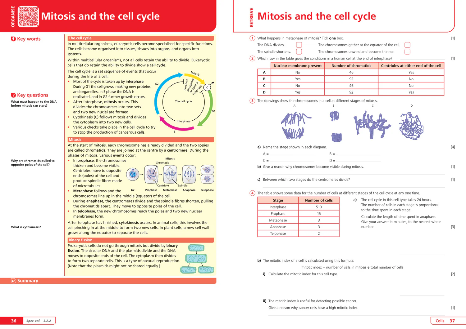 65-collins-a-level-revision-aqa-a-level-biology-organise-and-retrieve-your-knowledge-ideal-for-the-2026-and-2027-exams-4.webp Collins A level Revision - AQA A-level Biology Organise and Retrieve Your Knowledge: Ideal for the 2026 and 2027 exams
