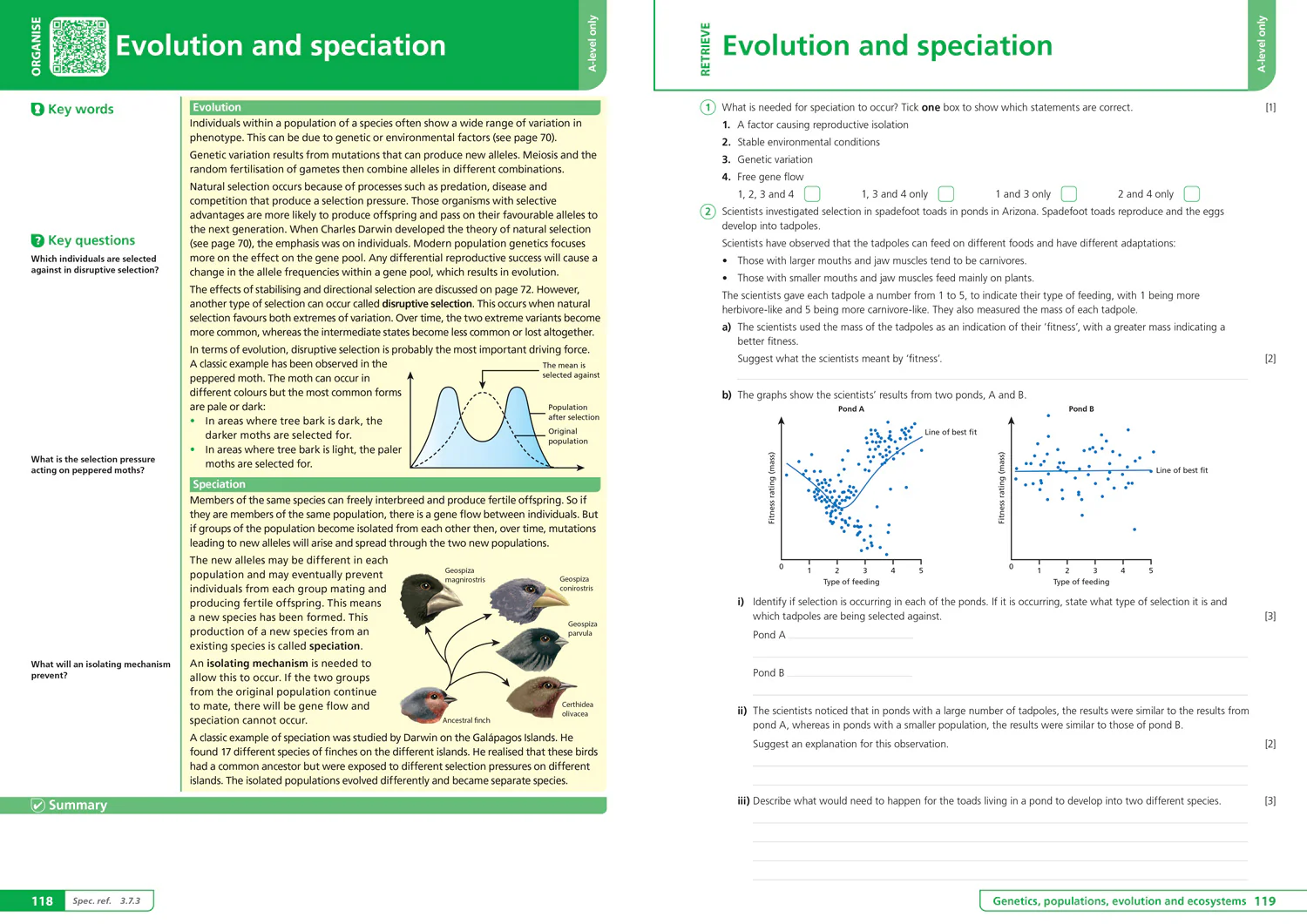 65-collins-a-level-revision-aqa-a-level-biology-organise-and-retrieve-your-knowledge-ideal-for-the-2026-and-2027-exams-6.webp Collins A level Revision - AQA A-level Biology Organise and Retrieve Your Knowledge: Ideal for the 2026 and 2027 exams