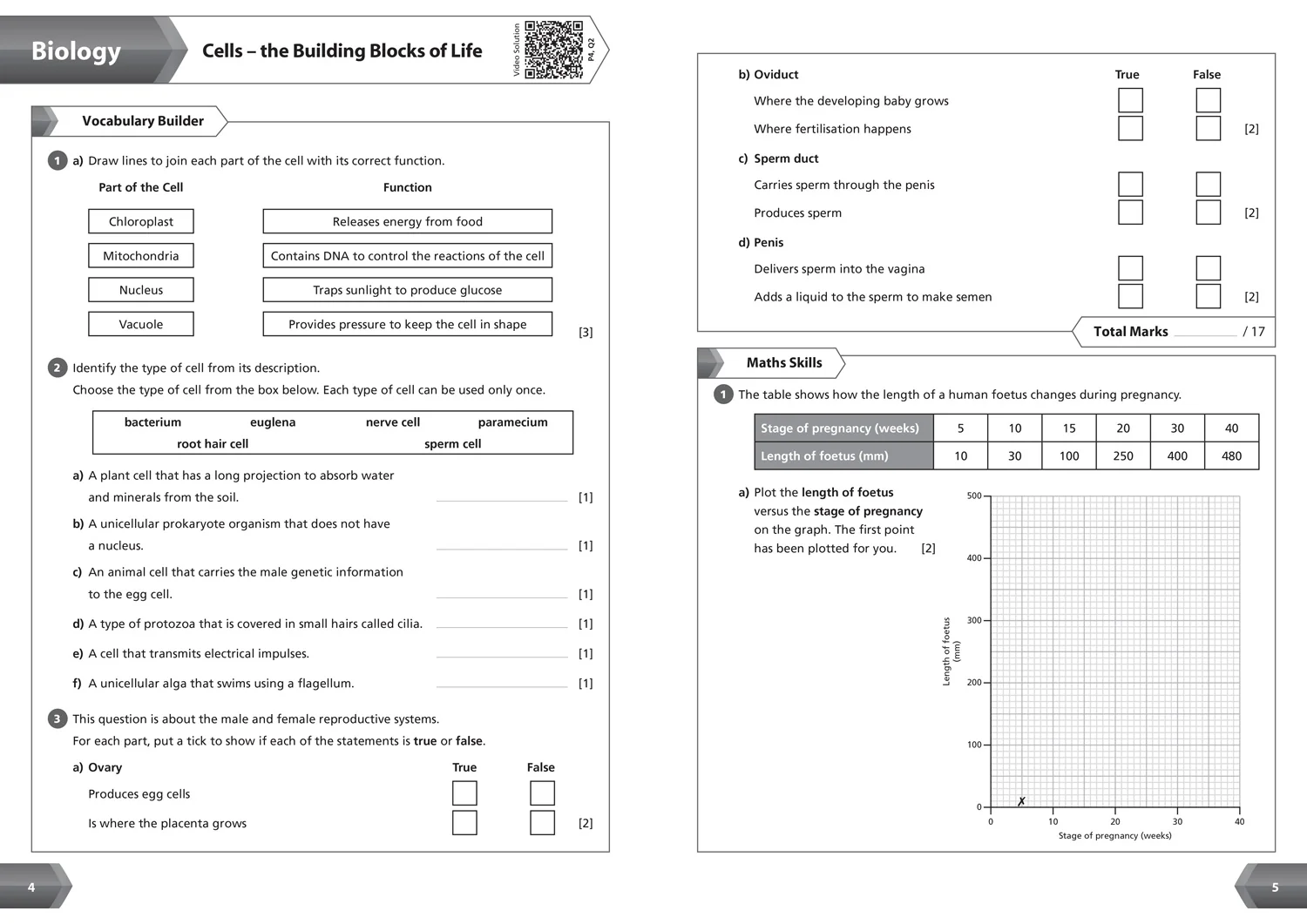 Collins KS3 Revision - KS3 Science Year 7 Workbook: Ideal for Year 7