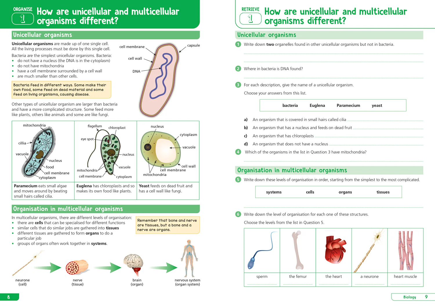 Collins KS3 Revision - KS3 Science Year 7: Organise and retrieve your knowledge: Ideal for Year 7