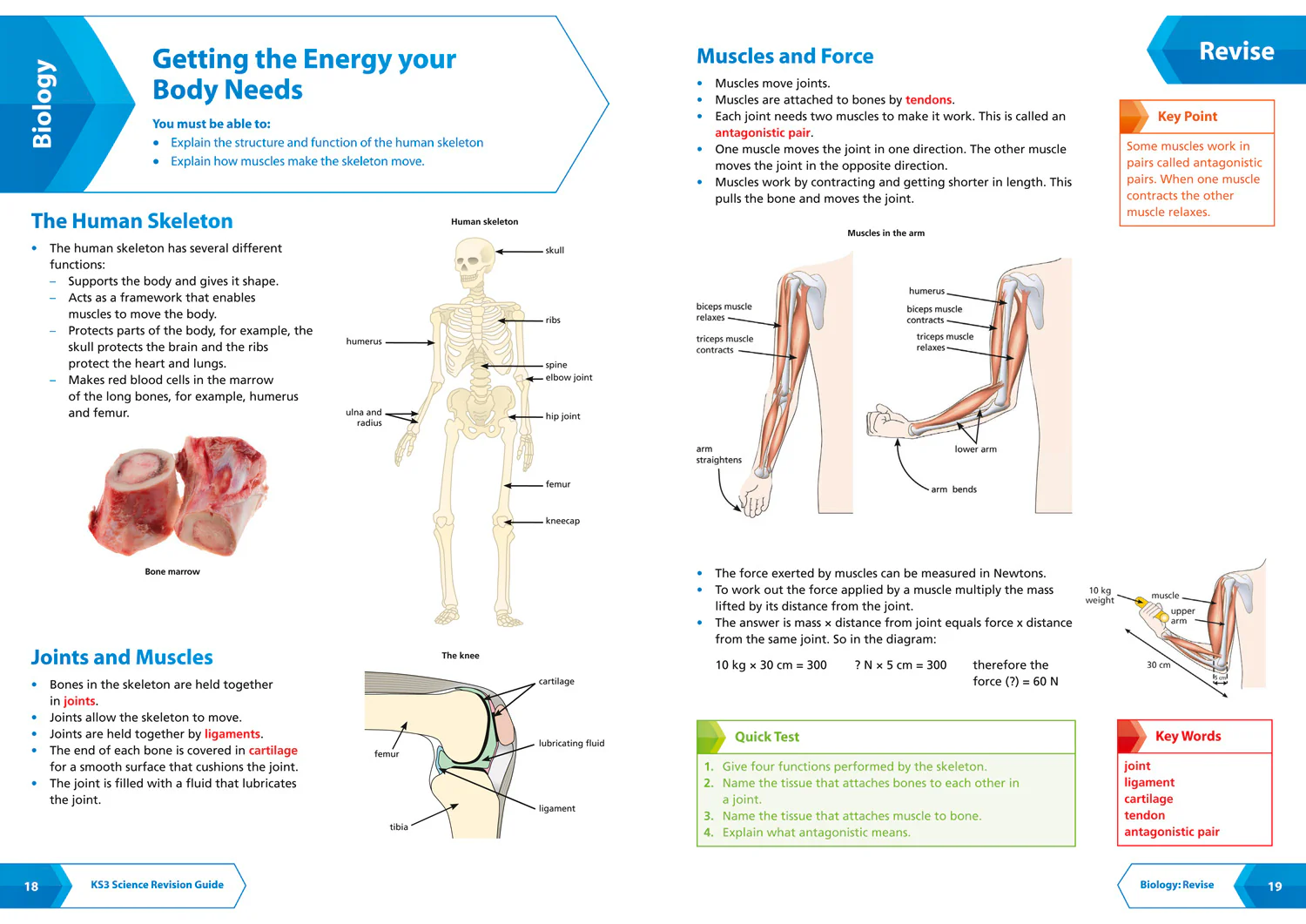 Collins KS3 Revision - KS3 Science Revision Guide: Ideal for Years 7, 8 and 9