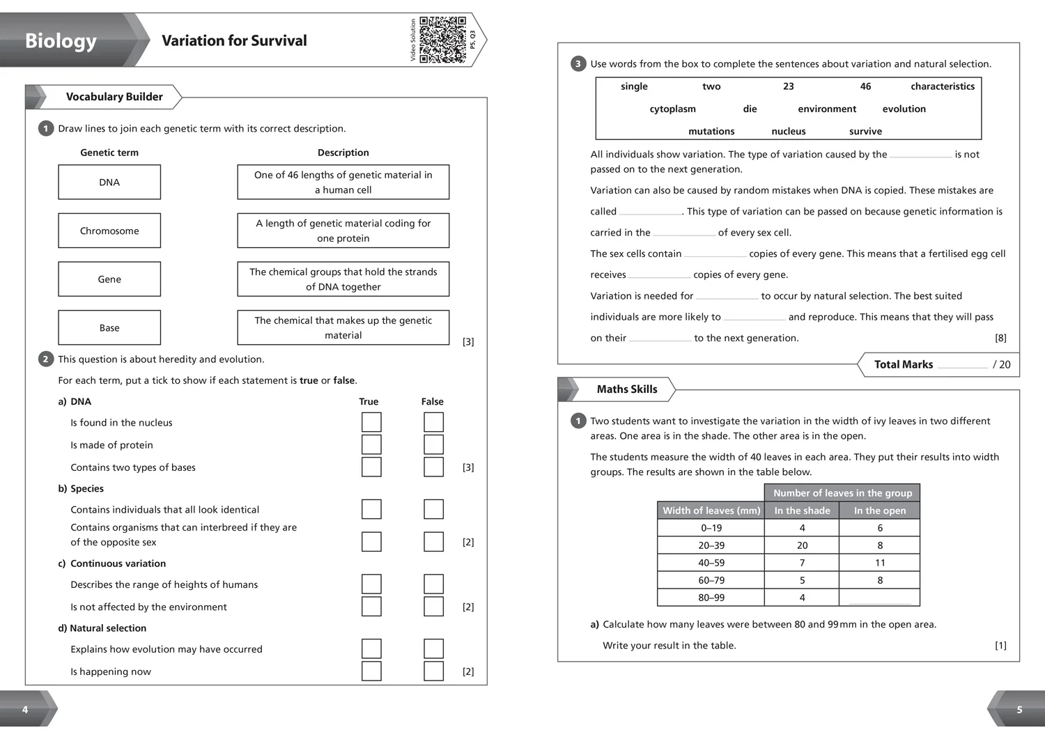 Collins KS3 Revision - KS3 Science Year 9 Workbook: Ideal for Year 9