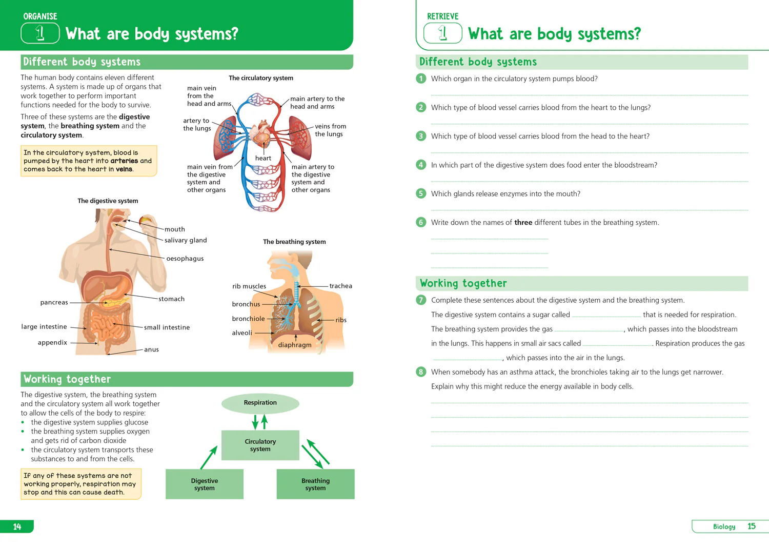 Collins KS3 Revision - KS3 Science Year 8: Organise and retrieve your knowledge: Ideal for Year 8