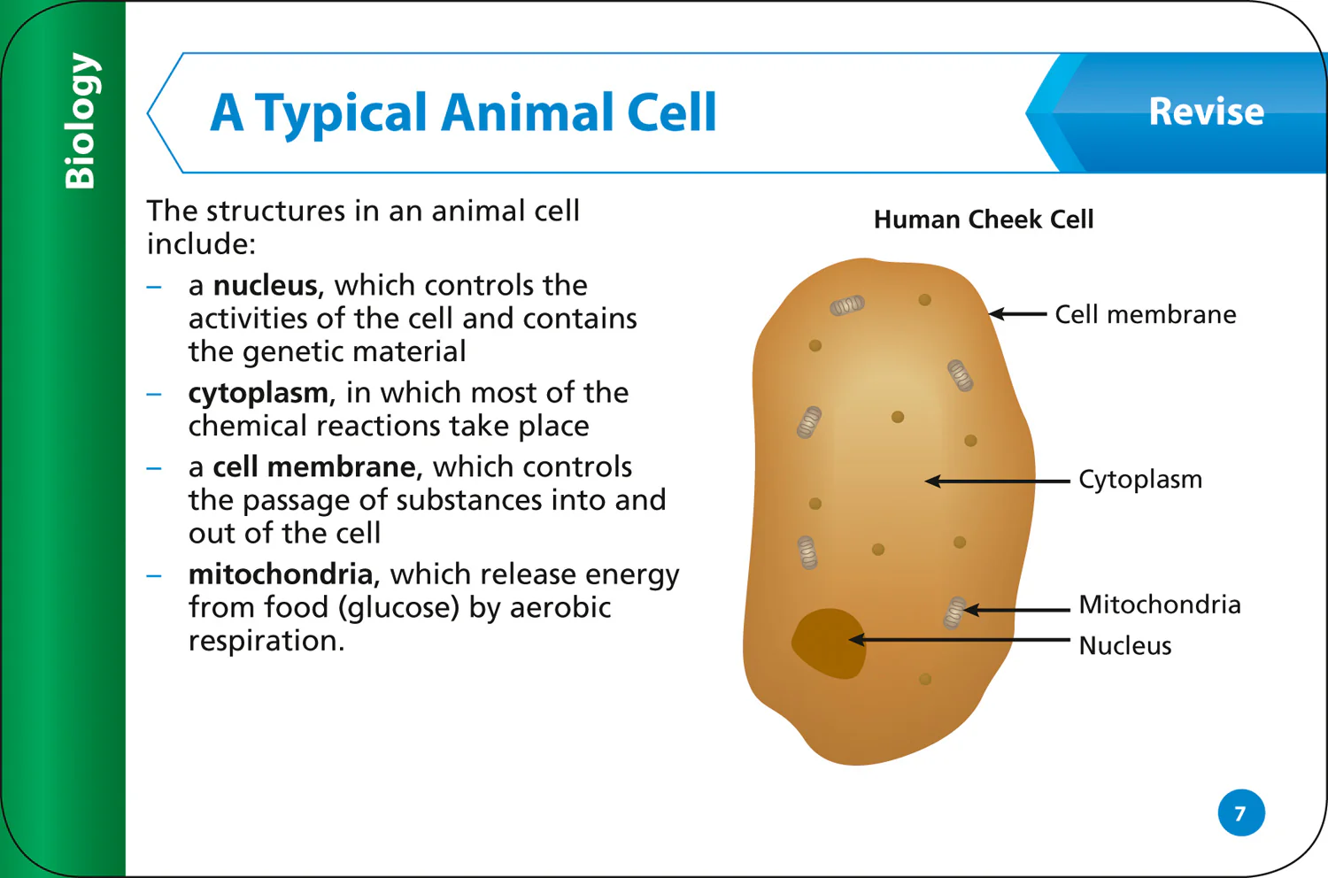 Collins KS3 Revision - KS3 Science Revision Question Cards: Ideal for Years 7, 8 and 9