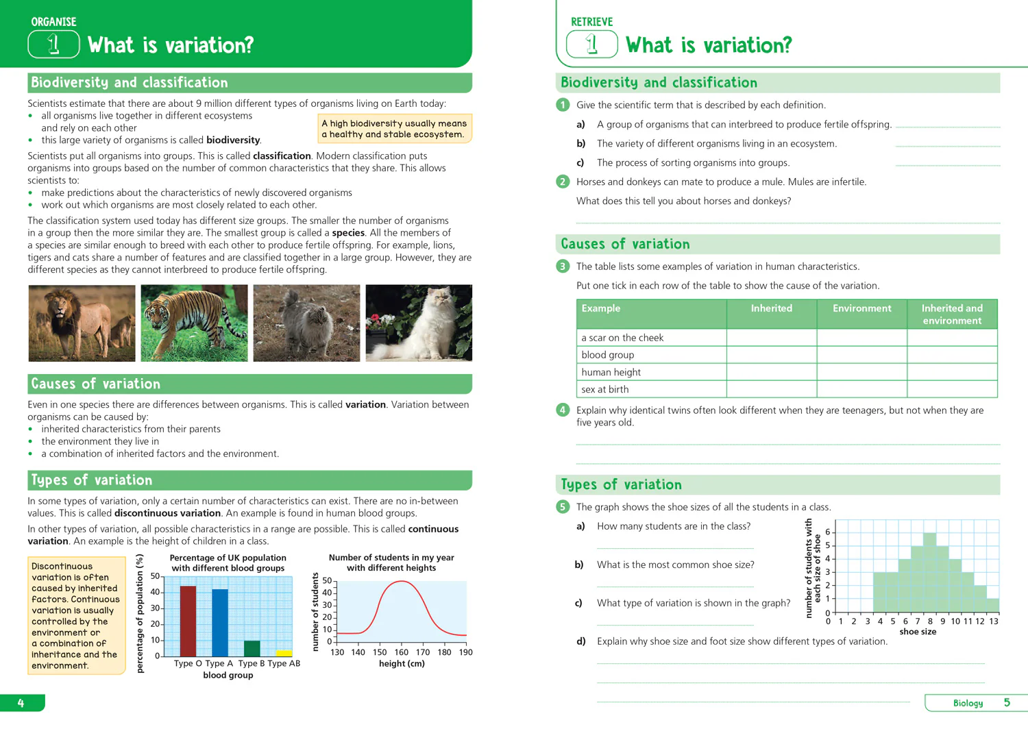 Collins KS3 Revision - KS3 Science Year 9: Organise and retrieve your knowledge: Ideal for Year 9