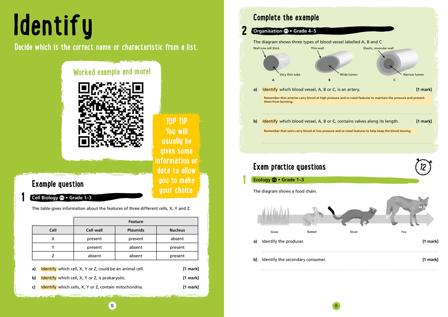 919-collins-gcse-grade-9-1-revision-aqa-gcse-9-1-biology-exam-skills-and-practice-ideal-for-the-2026-and-2027-exams-3.webp Collins GCSE Grade 9-1 Revision - AQA GCSE 9-1 Biology Exam Skills and Practice: Ideal for the 2026 and 2027 exams