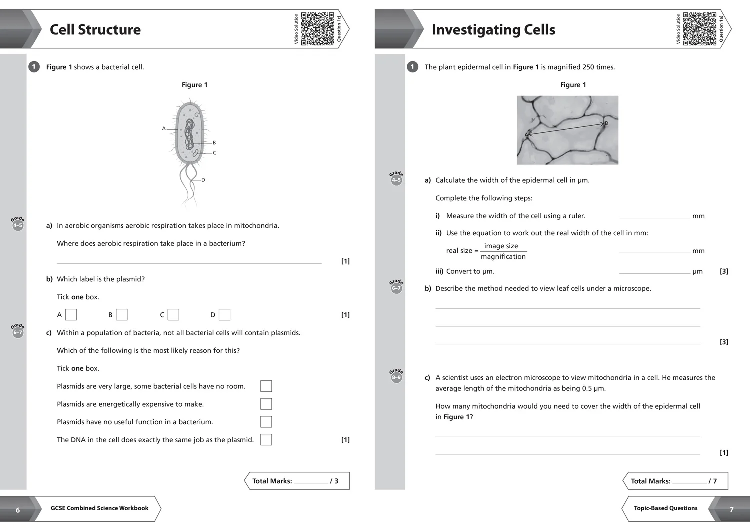 942-collins-gcse-grade-9-1-revision-aqa-gcse-9-1-combined-science-higher-workbook-ideal-for-the-2026-and-2027-exams-4.webp Collins GCSE Grade 9-1 Revision - AQA GCSE 9-1 Combined Science Higher Workbook: Ideal for the 2026 and 2027 exams